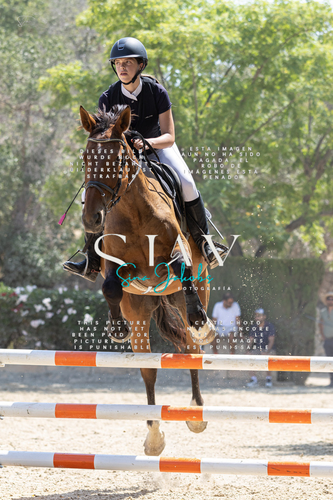 IMG_6084 | s-jay-photography - Realisiert mit Pictrs.com