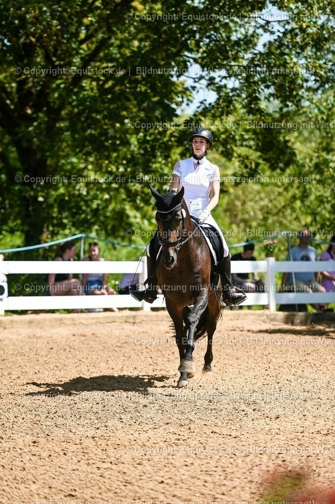 20230715_02_Dressurreiterprüfung Kl.L_0053 | equistock