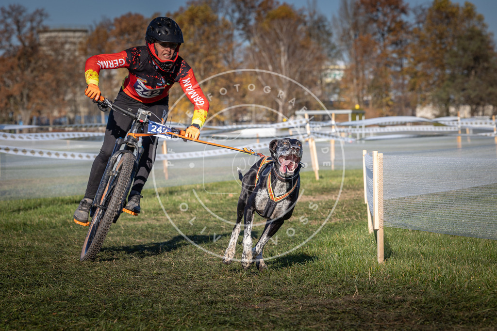 CaniXpix_0L8A4848 | Hundefotografie, Tierfotograf, Pfotenfotografie, Fotoshooting Hund, Hunde Portrait, Hundesport, Hundeportraits, Heideshooting, Hunde, Sportfotograf, Hundefotograf, Turnierhundsport, THS,  - Realisiert mit Pictrs.com