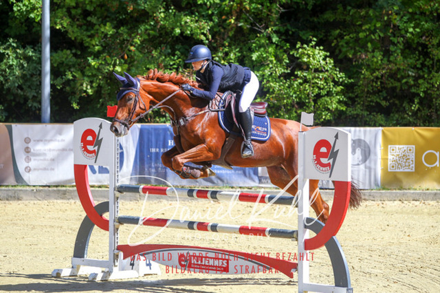 DKP43094 | Deine Turnierfotos vom Reitturnier online kaufen: Dressur, Springen & Siegerehrung. Professionelle Pferdefotografie aus dem Rheinland – als Download & Print.Alternative: Turnierfotograf für den Pferdesport: Finde deine Fotos von Dressur- und Springturnier