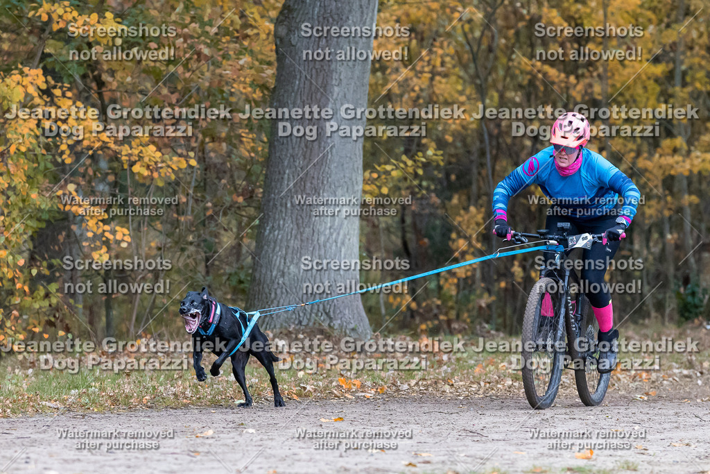 Dog Paparazzi - SD CaniX Championship 2025-204 | Dog Paparazzi Jeanette Grottendiek Fotografie & Videografie - Realisiert mit Pictrs.com