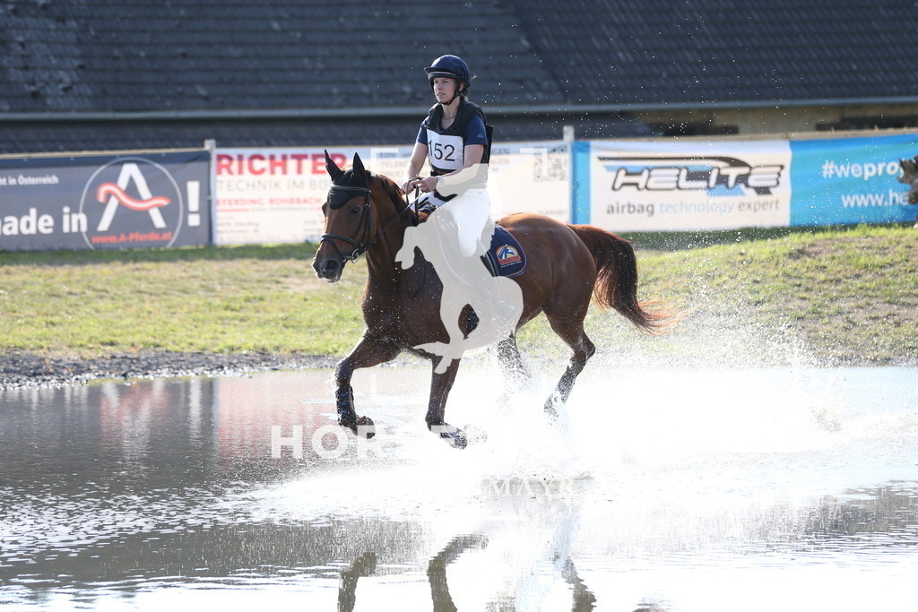DL2Q3270 | Willkommen bei Brunnmayr - Design & Fotografie – Ihrem Spezialisten für Reitturniere und Pferdeveranstaltungen in Oberösterreich, Salzburg und Bayern! Seit über 17 Jahren sind wir leidenschaftlich dabei.