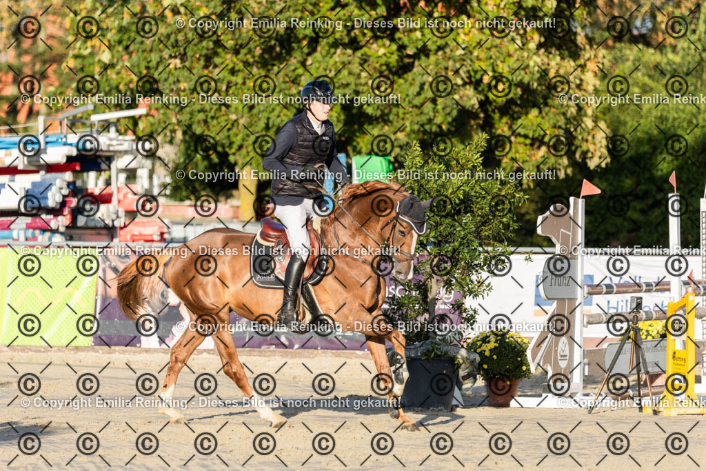 CL5A4436 | Emilia Reinking Fotografie - Realisiert mit Pictrs.com