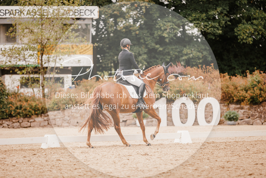 3I6A5913 | Stimmungsvolle Portraits und Reitsportfotografie im Ruhrgebiet und im Münsterland.

Pferdefotografie, Hundefotografie, Tierfotografie, Reportagen, Portraits von Tier und Mensch, Turnierfotografie in Bochum, Recklinghausen, Marl, Haltern am See, Dülmen.. - Realisiert mit Pictrs.com