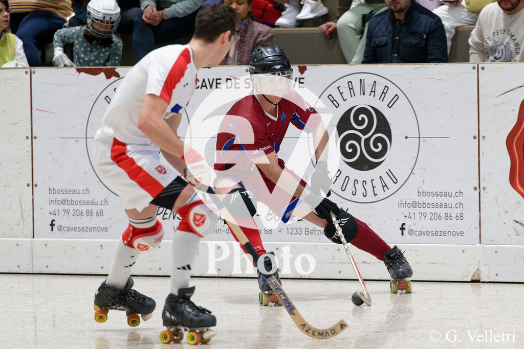 DSC_0534 | Velletri Photo