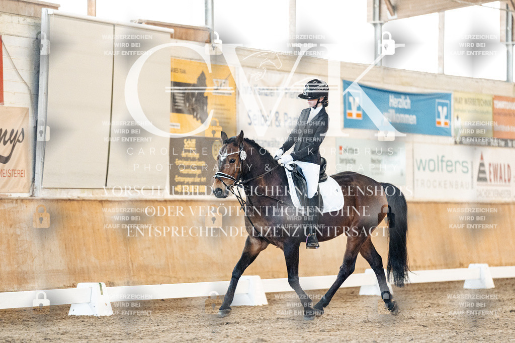 CK906643 | Turnierfotografie Pferdefotografie Trier Rheinland-Pfalz Pferdesport Reitsport Tierfotografie Sportfotografie Pferdevideo Pferdevideografie Equestrianvideography equestrianphotography  - Realisiert mit Pictrs.com