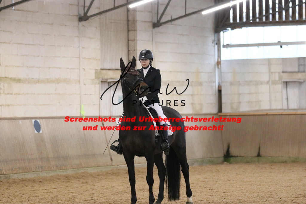 IMG_4165 | lmwpictures - Realisiert mit Pictrs.com