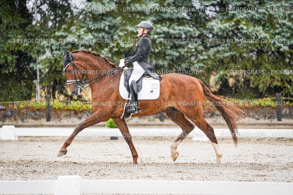 DSC09032 | Pferdegrafie