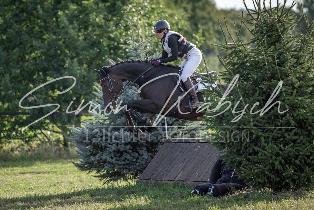 20250907-_3LI8683 | Tierfotografie Pferde, Hunde, Katzen, Haustiere.
Turnierfotografie Reitturniere, Reiten, Springreiten, Dressur in Hanau, dem Main-Kinzig-Kreis und dem Rhein-Main- Gebiet um Frankfurt