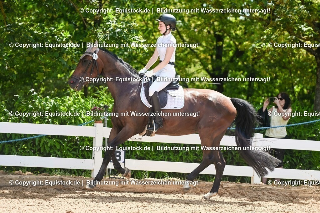 20230715_09_Dressur-WB_0284 | equistock