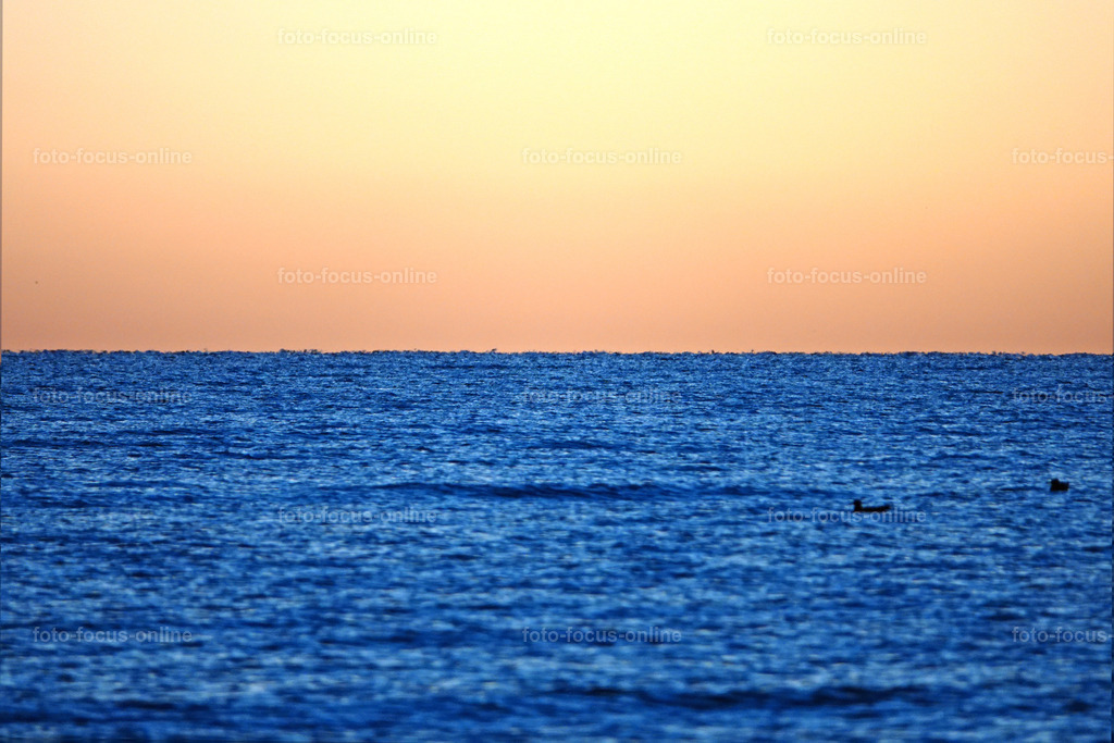 sommer morning | foto-focus-online