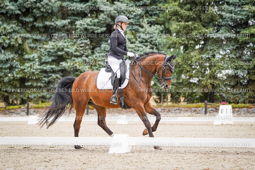 DSC02631 | Pferdegrafie