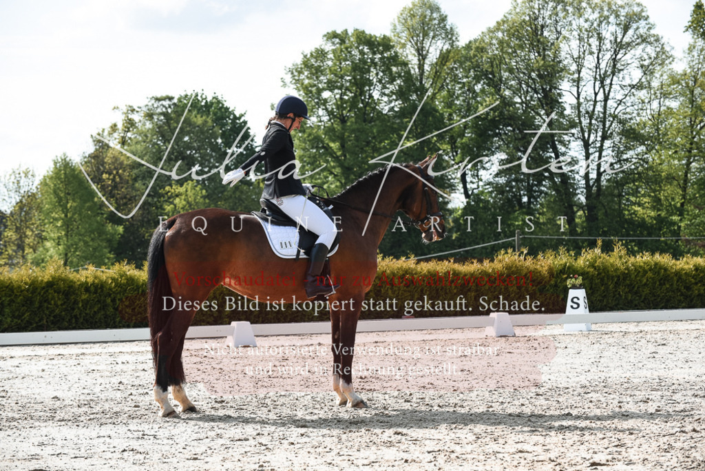 20230518_JK-Röhrsdorf-09-1244 | Pferde- und Turnierfotografie in Westsachsen. Pferdeportraits, Auftragszeichnungen und intuitive Kunst.