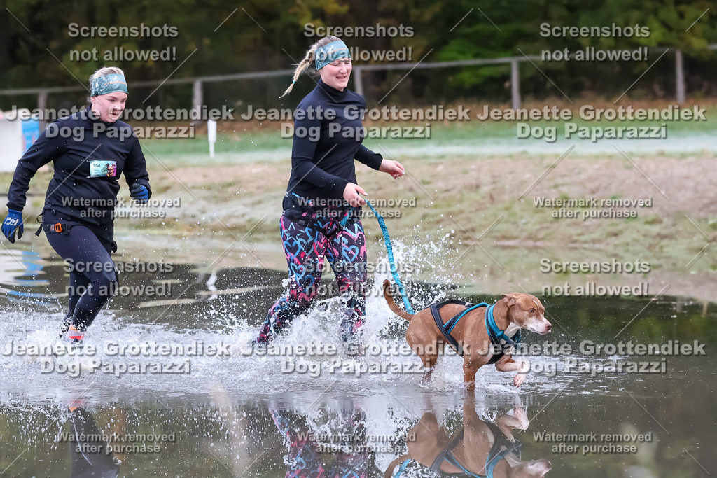 Dog Paparazzi - Strongdog 10-25-6093 | Dog Paparazzi Jeanette Grottendiek Fotografie & Videografie - Realisiert mit Pictrs.com