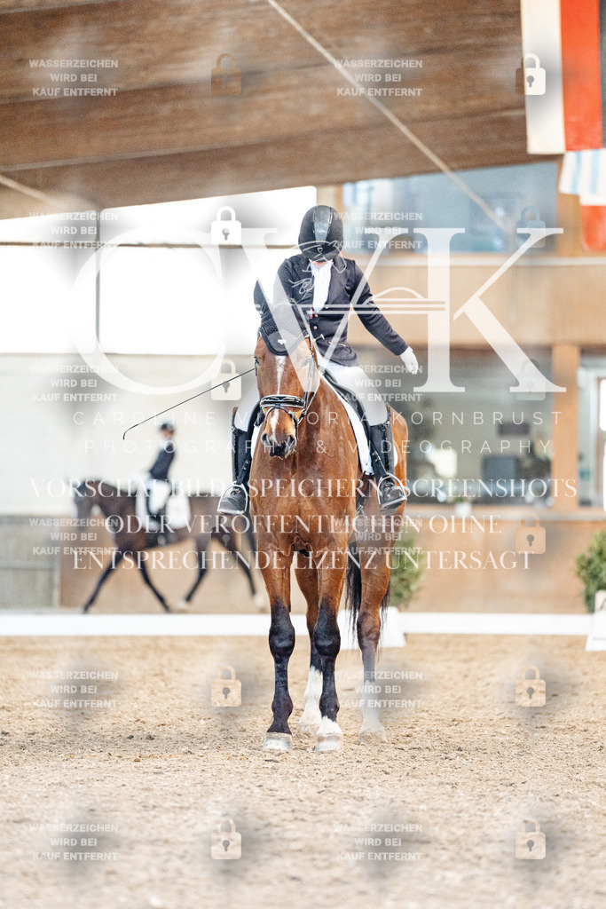 CK909115 | Turnierfotografie Pferdefotografie Trier Rheinland-Pfalz Pferdesport Reitsport Tierfotografie Sportfotografie Pferdevideo Pferdevideografie Equestrianvideography equestrianphotography  - Realisiert mit Pictrs.com