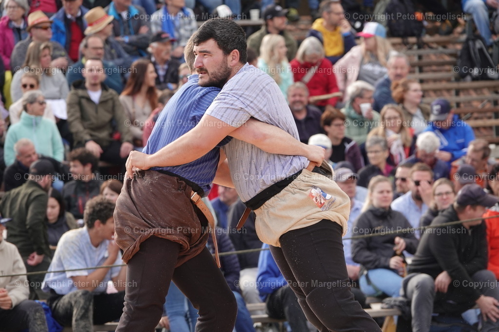 DSC03606 | Schwingen - Realisiert mit Pictrs.com