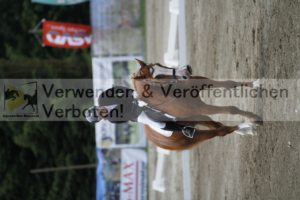 _MG_1318 | equestrian-live-com