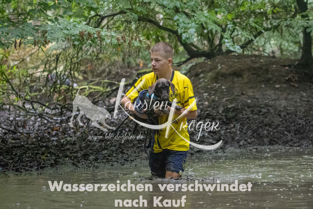 1343_ZZ90179-Bearbeitet | kk-dogfotos