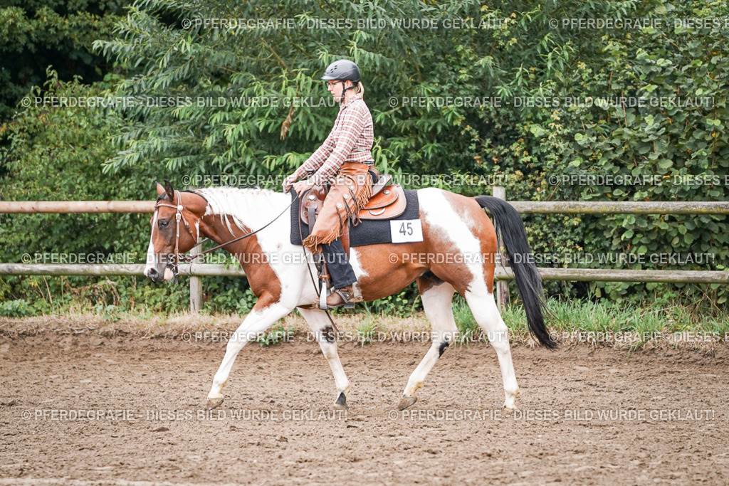 DSC02750 | Pferdegrafie