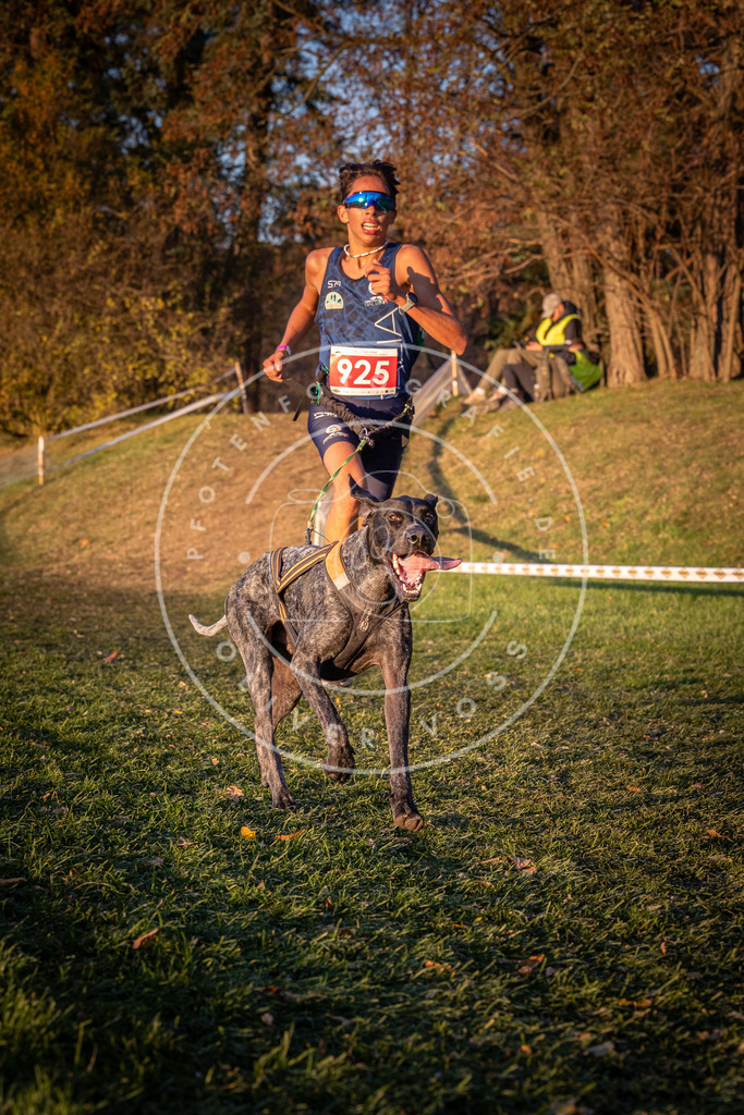 CaniXpix_0L8A1651 | Hundefotografie, Tierfotograf, Pfotenfotografie, Fotoshooting Hund, Hunde Portrait, Hundesport, Hundeportraits, Heideshooting, Hunde, Sportfotograf, Hundefotograf, Turnierhundsport, THS,  - Realisiert mit Pictrs.com