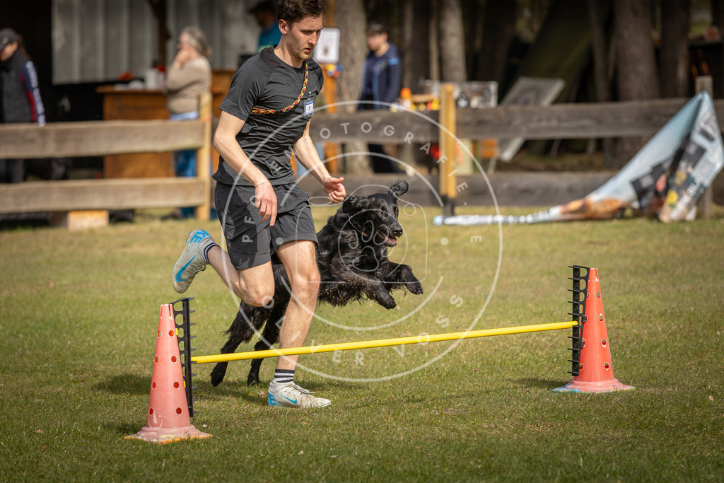 Pfotenfotografie_DV3A9320 | Hundefotografie, Tierfotograf, Pfotenfotografie, Fotoshooting Hund, Hunde Portrait, Hundesport, Hundeportraits, Heideshooting, Hunde, Sportfotograf, Hundefotograf, Turnierhundsport, THS,  - Realisiert mit Pictrs.com
