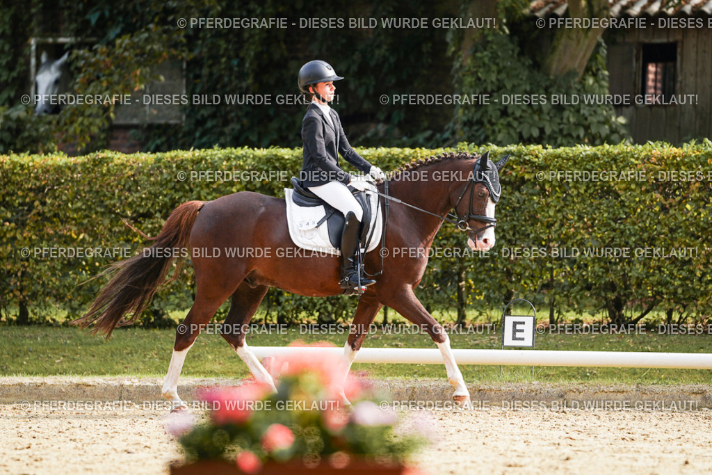 DSC05177 | Pferdegrafie