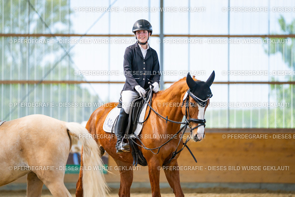 DSC09561 | Pferdegrafie