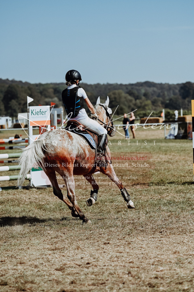DSC_9762 | Pferde- und Turnierfotografie in Westsachsen. Pferdeportraits, Auftragszeichnungen und intuitive Kunst.
