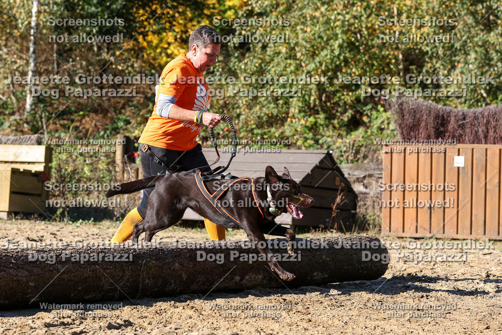 Dog Paparazzi - Strongdog 10-25-2584 | Dog Paparazzi Jeanette Grottendiek Fotografie & Videografie - Realisiert mit Pictrs.com