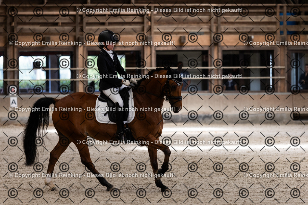 CL5A3922 | Emilia Reinking Fotografie - Realisiert mit Pictrs.com