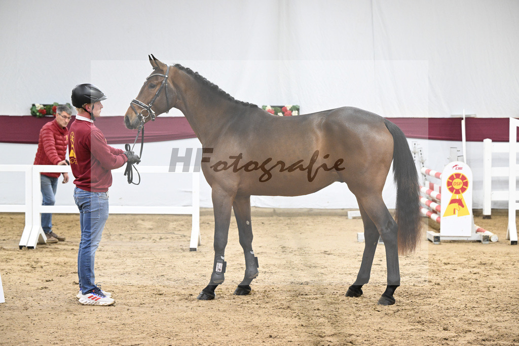 Kat-Nr. 90 Million Dollar x Cash and Carry_Ralf Laubheimer_47253108 | hf-fotografie - Realisiert mit Pictrs.com