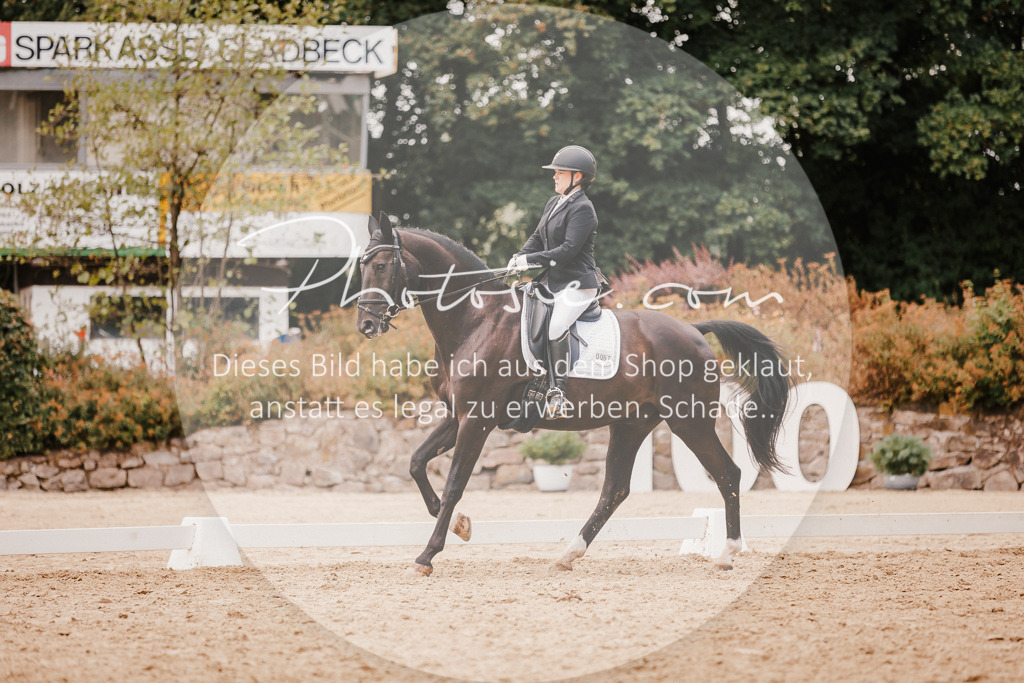 3I6A5990 | Stimmungsvolle Portraits und Reitsportfotografie im Ruhrgebiet und im Münsterland.

Pferdefotografie, Hundefotografie, Tierfotografie, Reportagen, Portraits von Tier und Mensch, Turnierfotografie in Bochum, Recklinghausen, Marl, Haltern am See, Dülmen.. - Realisiert mit Pictrs.com