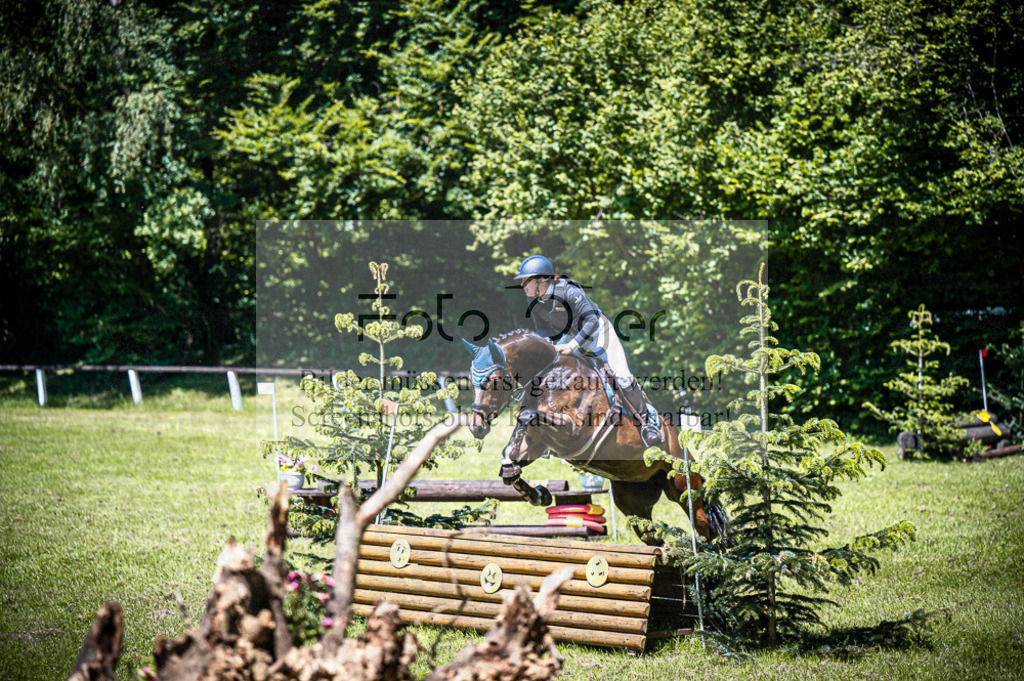 _DZ62044 | Entdecke hochwertige Reitturnierfotos von Foto Oger. Professionell, emotional und authentisch – jetzt Lieblingsmomente im Shop bestellen.Deutschlandweite Turnierfotografie. - Realisiert mit Pictrs.com