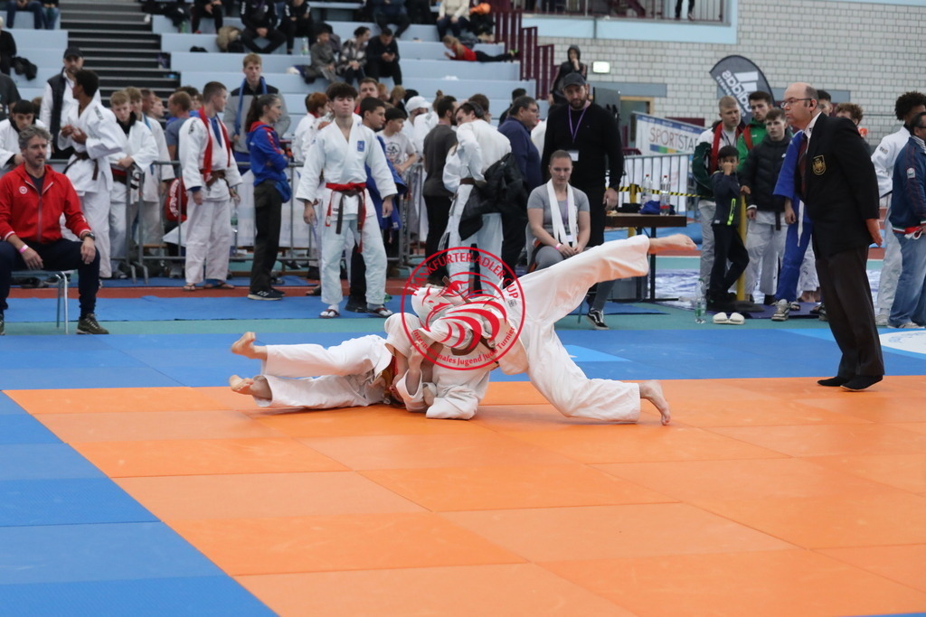 1J7A2775 | Fotos vom Adler Cup - Pictures from Adler Cup

Hier findet Ihr alle Eindrücke und großen Momente der Adler Cup Wochenenden. Here you will find all impressions and great moments of the Adler Cup weekends. - Realisiert mit Pictrs.com