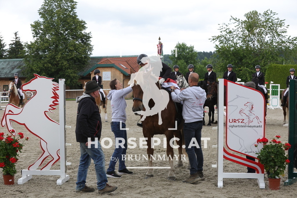 0P6A9338 | Willkommen bei Brunnmayr - Design & Fotografie – Ihrem Spezialisten für Reitturniere und Pferdeveranstaltungen in Oberösterreich, Salzburg und Bayern! Seit über 17 Jahren sind wir leidenschaftlich dabei.