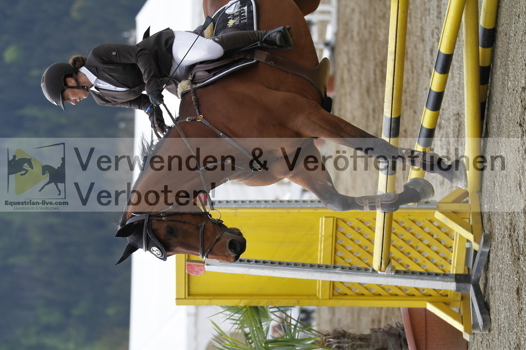 _MG_1354 | equestrian-live-com