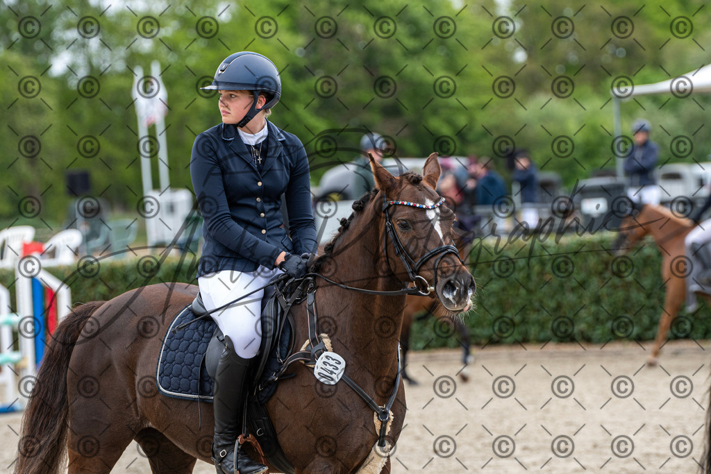 KPT_8123 | andre_photographic