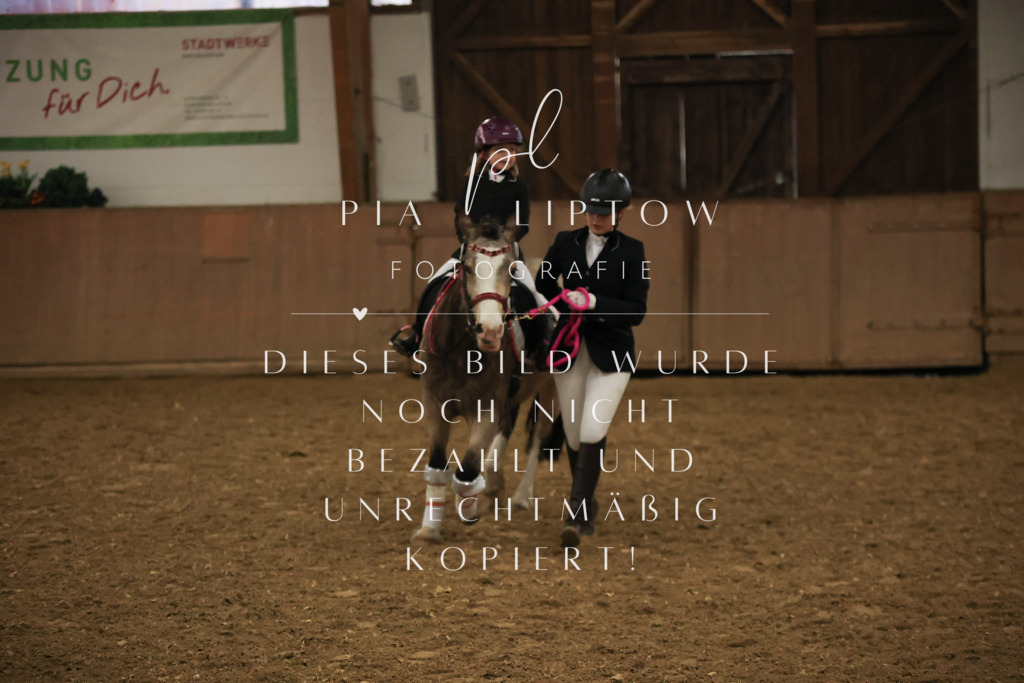 IMGT6560 | pl-fotografie