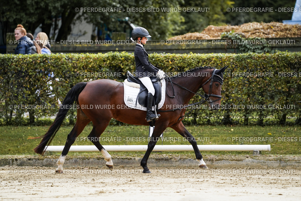 DSC05263 | Pferdegrafie