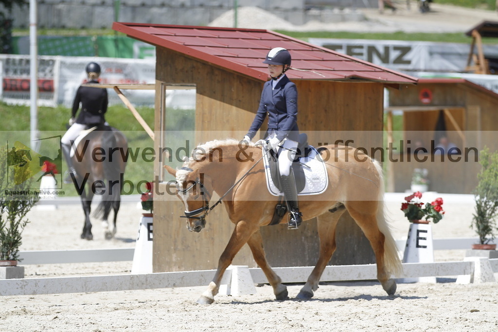 _MG_5111 | equestrian-live-com