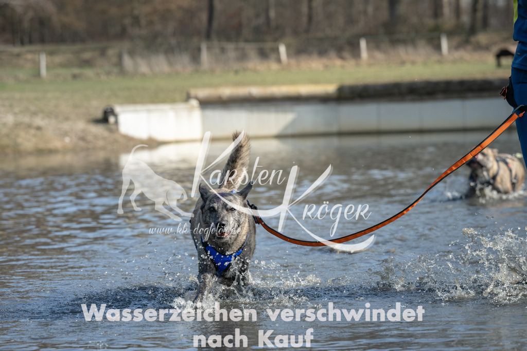 1332_ZZ97036 | kk-dogfotos