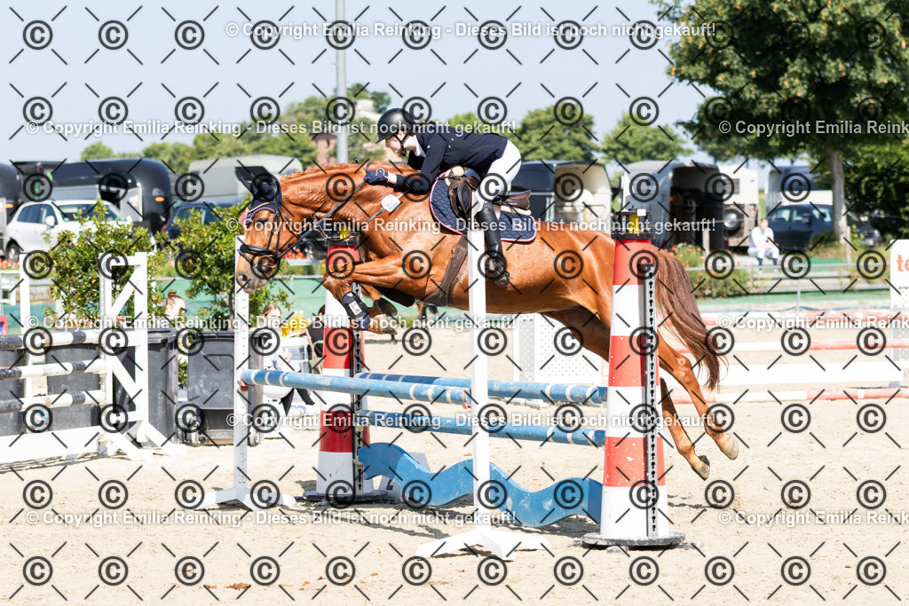 CL5A0233 | Emilia Reinking Fotografie - Realisiert mit Pictrs.com