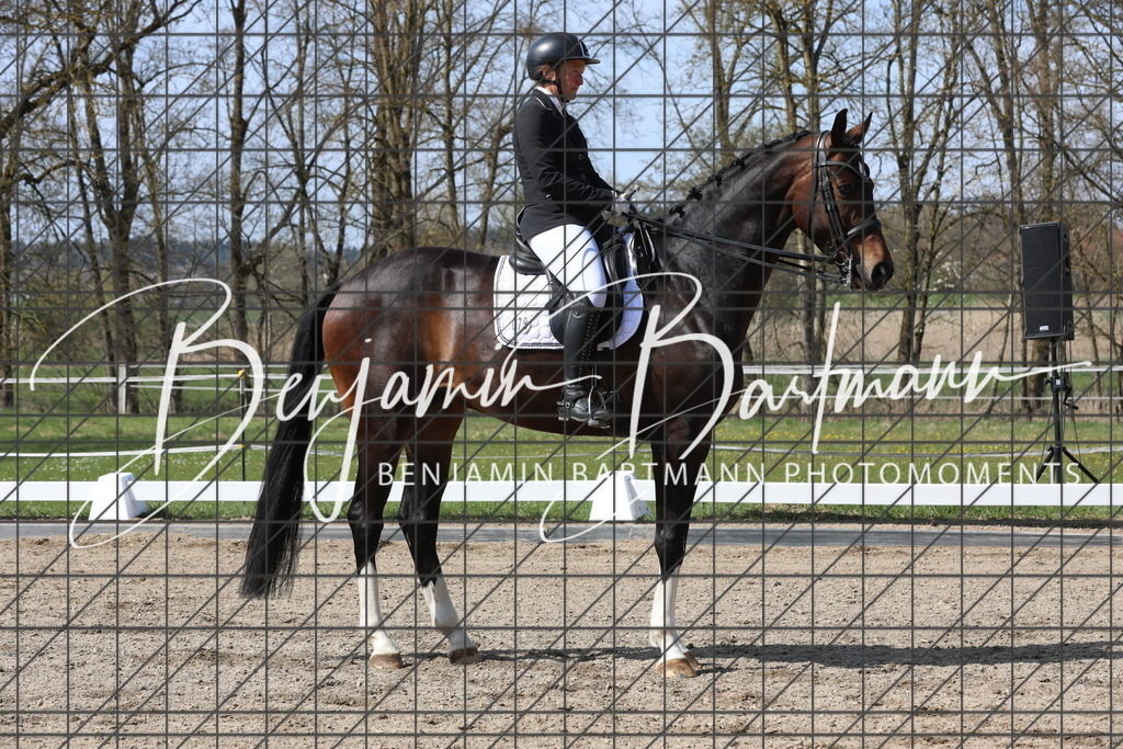 AZ2A5872 | Benjamin Bartmann Photomoments