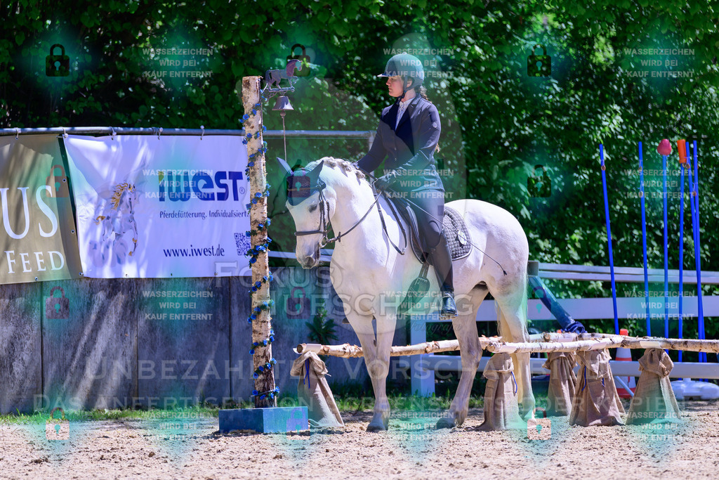 01052026-Giesenbach-02-Stiltrail-0129 | Fokus Hufschlag Fotografie - Realisiert mit Pictrs.com