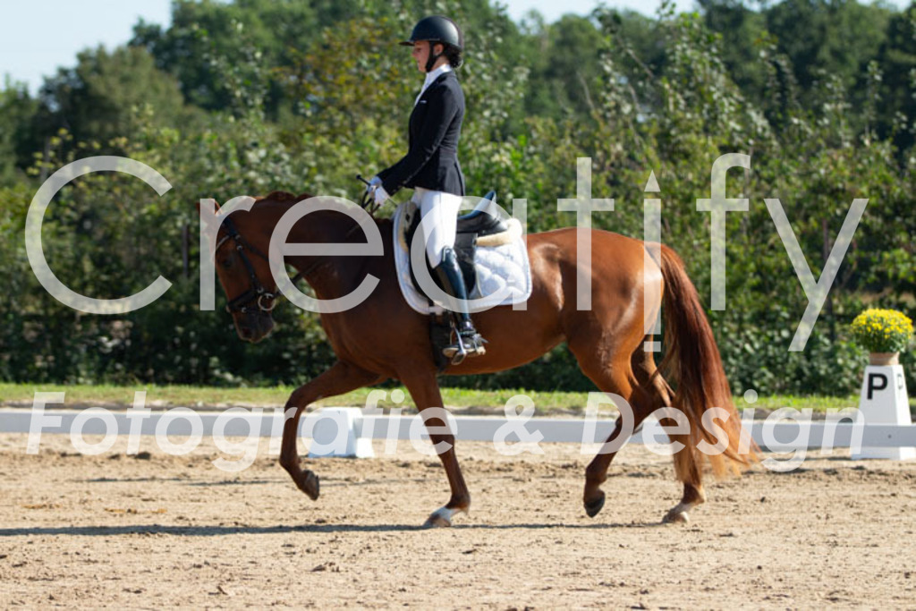 IMG_7560 | Creatify Fotografie