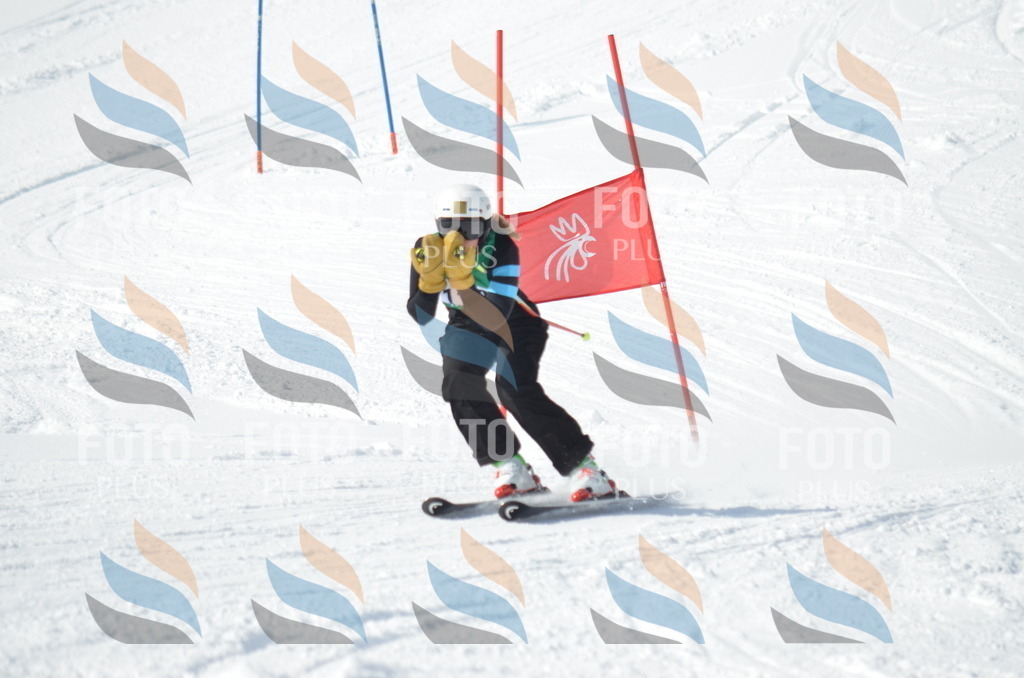 D9187 | holidayphoto