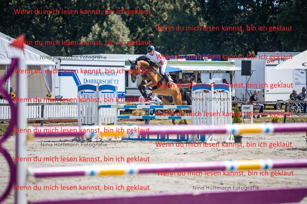 BK1A6244 | Turnierbilder Turnierfotos Nina Hüffmann Turnierfotografie Pferdefotografie Tierzeichnung Haustierzeichnung Pferdezeichnung Hundezeichnung Videograf  - Realisiert mit Pictrs.com