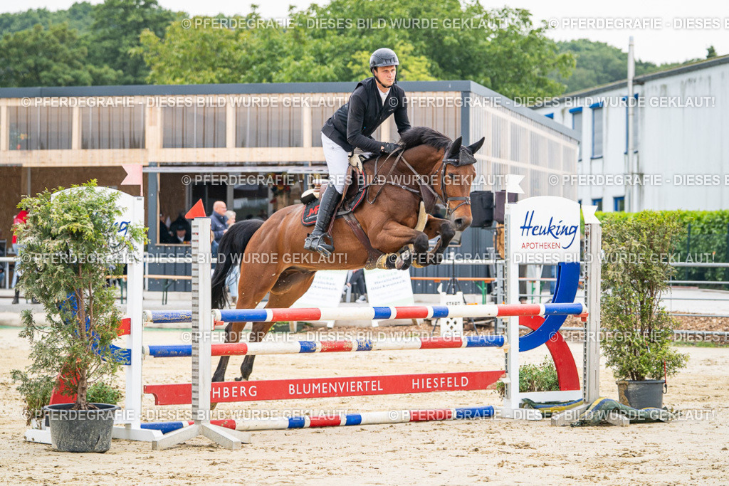 DSC09426 | Pferdegrafie