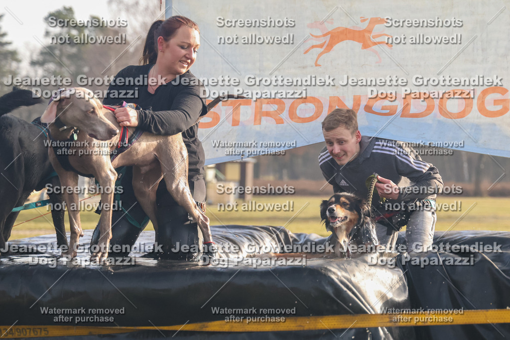 Dog Paparazzi - SD North 0326 900930-237 | Dog Paparazzi Jeanette Grottendiek Fotografie & Videografie - Realisiert mit Pictrs.com