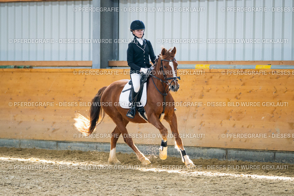 DSC02185 | Pferdegrafie